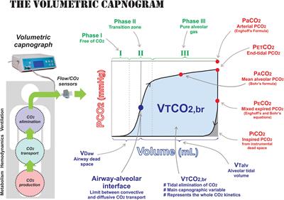 Monitoring Expired CO2 Kinetics to Individualize Lung-Protective Ventilation in Patients With the Acute Respiratory Distress Syndrome